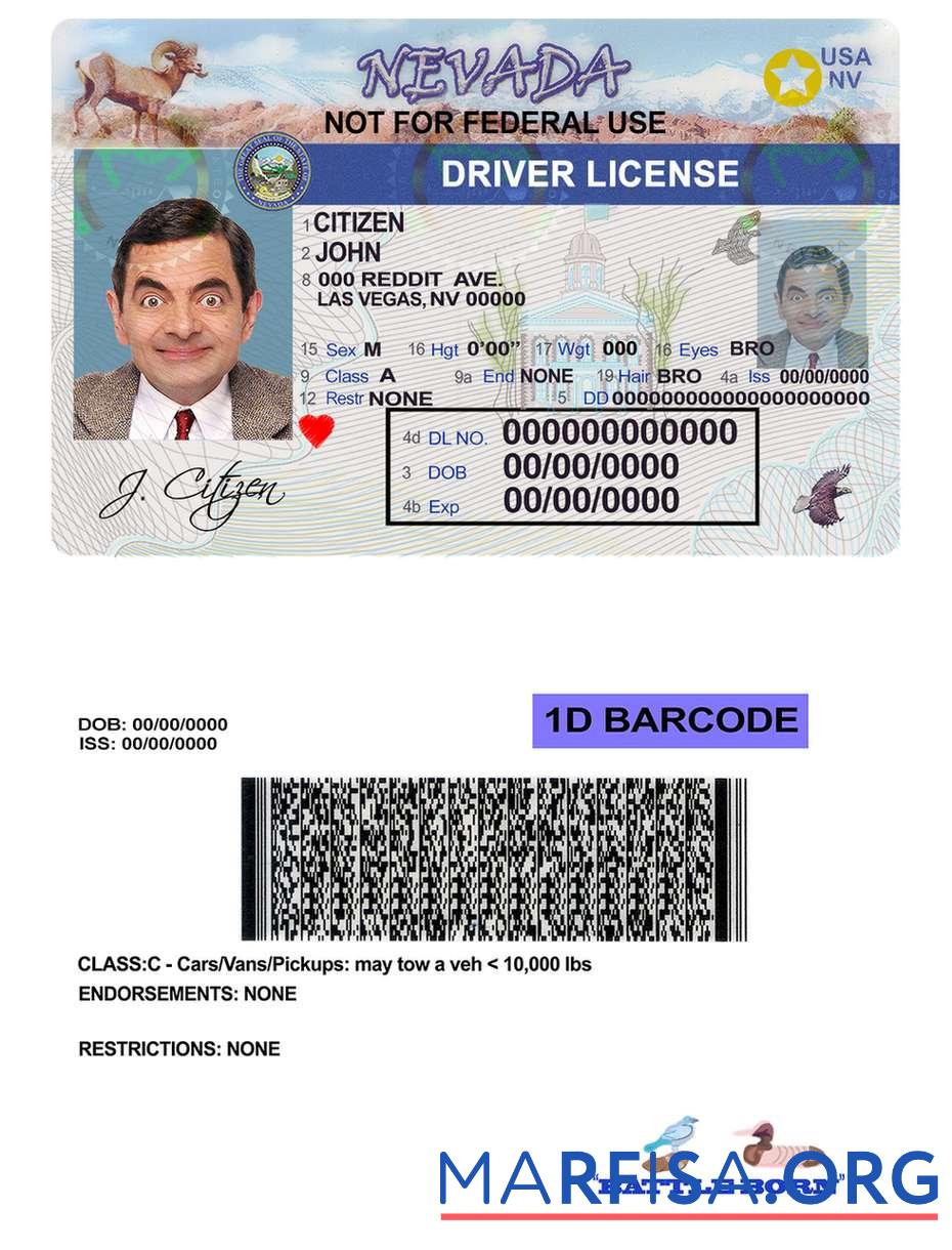 Realistic USA Nevada driving license download for verification